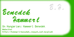 benedek hammerl business card
